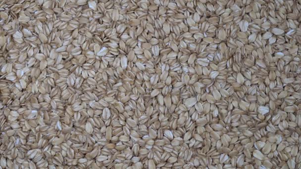 Dry Oat Flakes Grains Background Close Rotation Loopable Top View — Stock Video