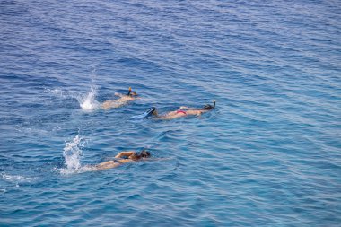 Üç genç kız Kızıldeniz, Sharm El Sheikh, Mısır üzerinde mercan resif üzerinde mavi sularda dalış. İnsanlar ve yaşam tarzı kavramı. Üstten görünüm