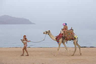 Sharm El-Sheikh, Mısır - 25 Mayıs 2018: Avrupa turist resort City, Sharm El Sheikh Mısır'daki kırmızı deniz kenarında bir deve üzerinde çocukları binmek