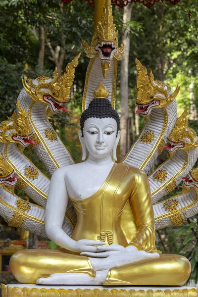 タイの仏教寺院でナガ族の頭を持つ美しい仏像 石の仏像七つパヤ ナガ族の頭 屋外の石に仏像の上の 頭ナガ スプレッド カバーによって保護が装着されています — ストック写真