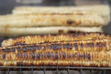 Organik, kızarmış tatlı Mısır, Tiflis, Gürcistan, bir sokakta Satılık yakın çekim