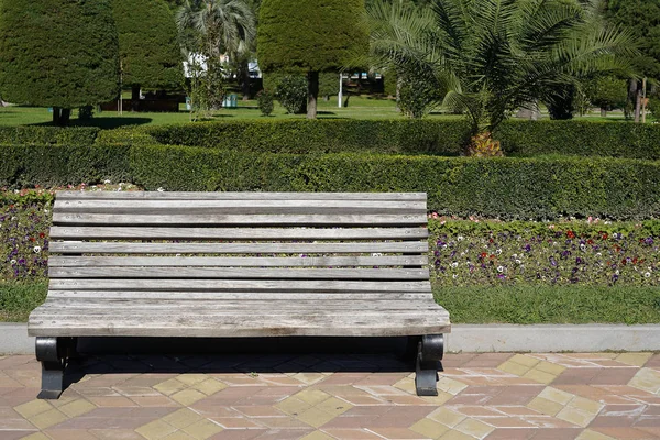 Wooden Park Bench City Park Beautiful Summer Day Close — Stock Photo, Image