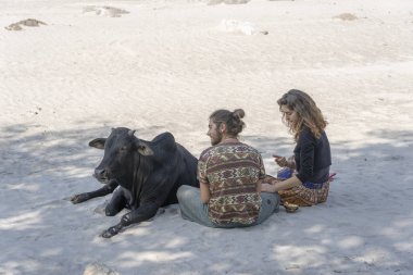 RISHIKESH, INDIA - NOVEMBER 06, 2018: Genç bir adam bir kızla güneşli bir günde Ganga nehrinin kıyısında kutsal inek ile Hindistan 'ın Rishikesh şehrinde dinleniyor.