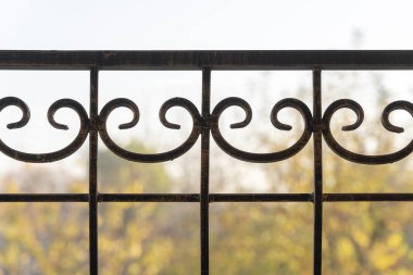Siyah metal çit, yaklaşın. Güzel dekoratif dökme demir parmaklıklar ve sanatsal demirler. Metal bariyer
