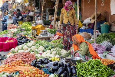 JAIPUR, INDIA - 25 Kasım 2018: Jaipur, Rajasthan, Hindistan 'daki sokak pazarında sebze satan gıda tüccarı