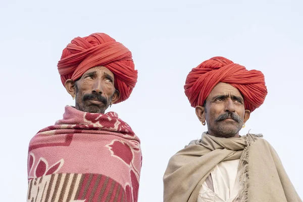 Pushkar India November 2018 Två Indianer Öknen Thar Pushkar Camel — Stockfoto