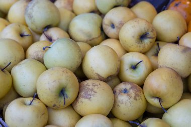 Bir pazarda olgun elma oyala. Organik elma meyve yığın itibariyle yerel çiftçilere piyasa, arka plan. Elma meyve çiftçi Market Tiflis, Gürcistan