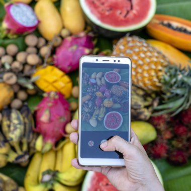 Kadın el telefon fotoğraf tropikal meyve al. Sosyal medya veya bloglama için Smartphone fotoğraf. Tatlı mango, papaya, pitahaya, muz, karpuz, ananas. Çiğ vegan Vejetaryen Sağlıklı gıda