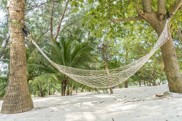 아름 다운 열 대 모래 해변과 녹색 야자수, 태국에 빈 해먹 — 스톡 사진