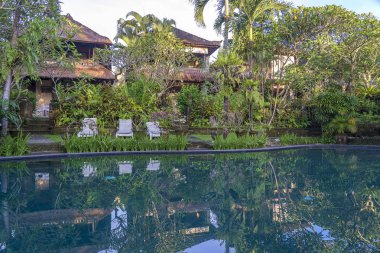 Ubud tropikal bir bahçe ve yüzme havuzu görünümü, Bali, Endonezya , yakın