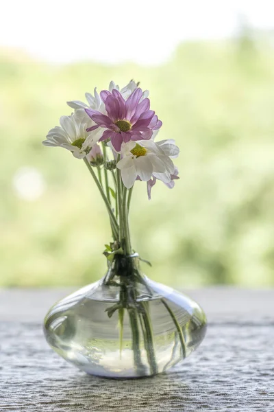 Beautiful flowers in glass vase. Bouquet of white flowers in a vase on a table, closeup — Stock Photo, Image