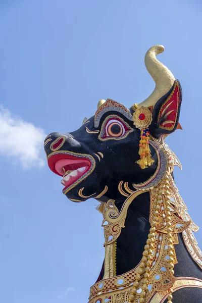 The head of a black buffalo during Bade cremation ceremony on central street in Ubud, Island Bali, Indonesia . Prepared for an upcoming cremation ceremony. Closeup — Stock Photo, Image