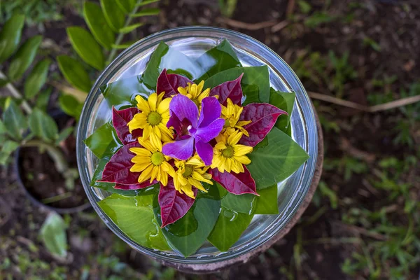 Vase is filled with water and decorated with green leaves and beautiful flowers in tropical garden. Ubud, island Bali, Indonesia . Closeup, top view