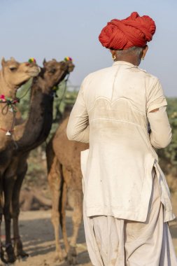 Pushkar Camel Mela, Rajasthan, Hindistan sırasında Hintli adam ve solana
