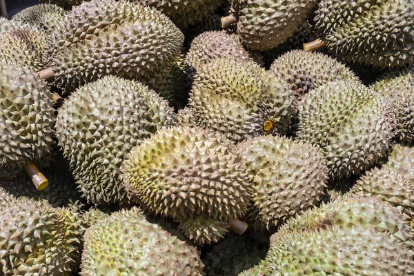 Tropowe owoce Durian na rynku Stree. Egzotyczne owoce Durian do sprzedaży. Tajlandia. Deser owocowy — Zdjęcie stockowe