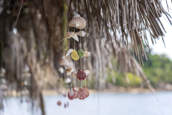 Seashells hanging on the ropes on a tropical beach, Thailand, closeup — Stock Photo, Image