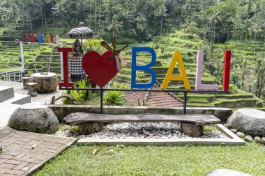 Renkli işareti I Love Bali arka planda pirinç tarlaları terasları yakınında. Island Bali, Endonezya