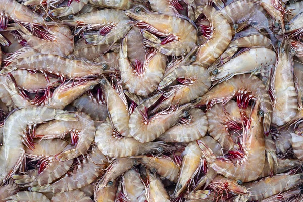 Meer frische Garnelen auf dem Wochenmarkt in Thailand. Meeresfrüchte-Konzept. — Stockfoto