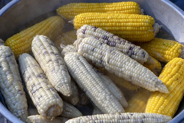Keitetty valkoinen ja keltainen maissi myytävänä katukaupassa Thaimaassa, lähikuva — kuvapankkivalokuva