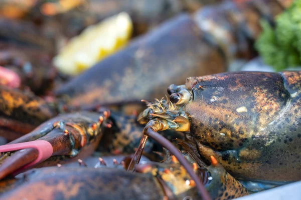 Sea fresh lobster at street market in Thailand. Seafood concept. Raw lobster for cooking, closeup — Stock Photo, Image