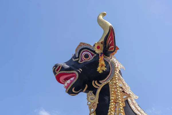 The head of a black buffalo during Bade cremation ceremony on central street in Ubud, Island Bali, Indonesia . Prepared for an upcoming cremation ceremony. Closeup — Stock Photo, Image