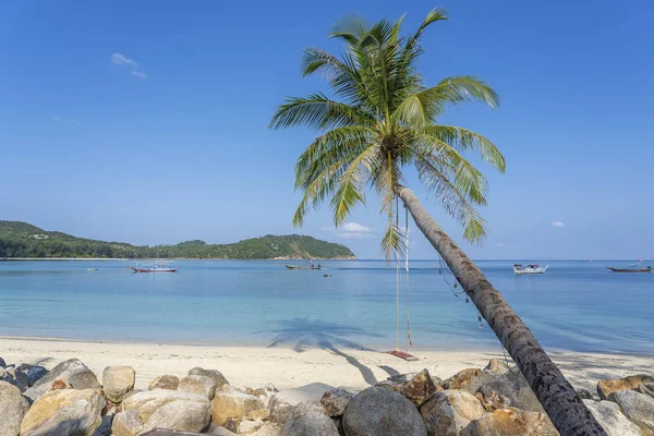 Columpio cuelgan de la palmera de coco sobre la playa de arena cerca del agua azul del mar en Tailandia. Verano, viajes, vacaciones y concepto de vacaciones —  Fotos de Stock