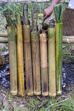 Geleneksel pişirme, Asya gıda bambu pirinç yakma. Ubud, ada Bali, Endonezya. Closeup. Bambu çekim tatlı hindistan cevizi sütü ile yanmış yapışkan pirinç