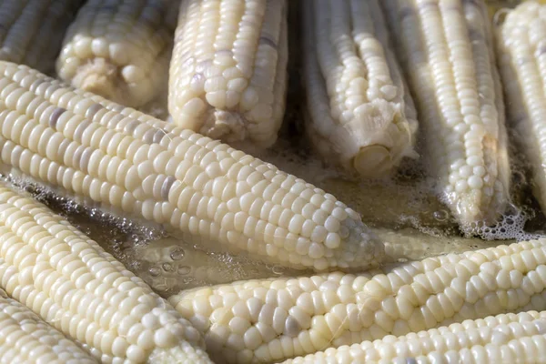 Boiled white corn for sale on street food market in Thailand , closeup