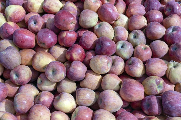Reife Äpfel auf einem Marktstand. Bio-Apfelfrüchte stapeln sich auf lokalem Bauernmarkt in Indien — Stockfoto