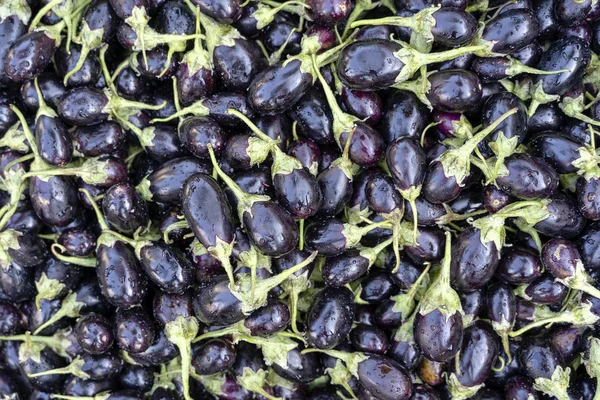 Friss bio nyers, lila padlizsárnövények a mezőgazdasági termelők piacán Indiában. — Stock Fotó