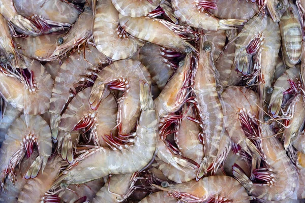 Camarones frescos de mar en el mercado callejero en Tailandia. Concepto de mariscos . —  Fotos de Stock