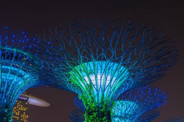 Gardens by Bay'deki süper ağaçlar, geceleri aydınlatılmış, Singapur, Güneydoğu Asya