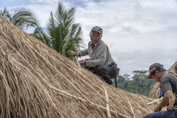 Uomini locali che riparano un nuovo tetto di paglia a Ubud, isola di Bali, Indonesia. Lavoratori edili che lavorano su un tetto di paglia da costruzione — Foto Stock