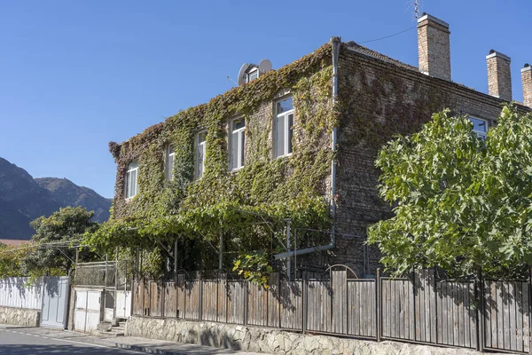 Antigua casa cubierta de uvas en Tiflis, Georgia — Foto de Stock