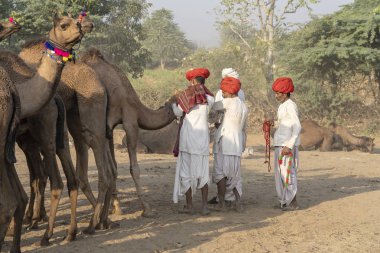 Pushkar Camel Mela, Rajasthan, Hindistan sırasında Hintli adam ve solana