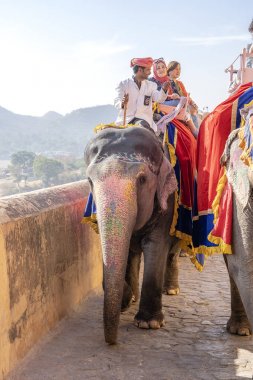 Dekore filler Jaipur Amber Fort turistlere binmek, Rajasthan, Hindistan