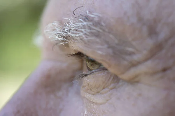 Nahaufnahme Auge des kaukasischen alten Mannes. Porträt eines alten Mannes im Freien. kaukasische männliche Gesicht Hintergrund, Nahaufnahme Augen, Makro — Stockfoto