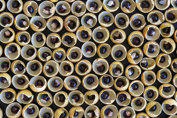 De schelp en het bot van de Thaise vruchten Longan. Longan schil shell en graan achtergrond. Exotisch fruit in Thailand, close-up — Stockfoto