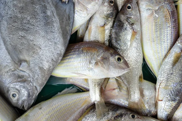 Pescado fresco de mar en el mercado de Tailandia. Concepto de mariscos . —  Fotos de Stock