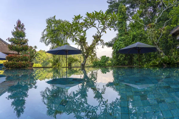 Uitzicht op een tropische tuin en zwembad in Ubud, Bali, Indonesië, close-up — Stockfoto