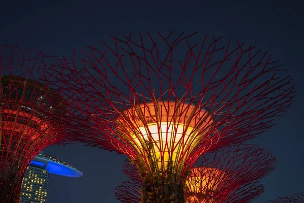 Super alberi a Gardens by Bay, illuminato di notte, Singapore, Sud-est asiatico — Foto Stock