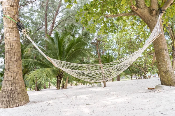 Lege hangmat op het tropische zandstrand en groene palmboom, Thailand — Stockfoto