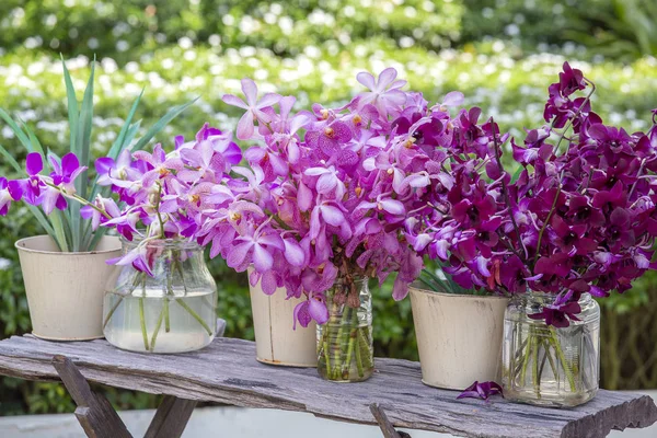 Vackra lila rosa orkidéer i en vas i tropisk trädgård, Utomhus, natur koncept. Exotiska färgglada orkidé bukett — Stockfoto
