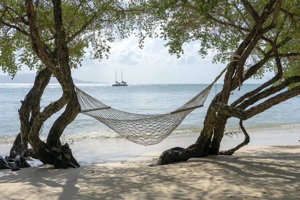 Hamak Phangan adasında yaz kum plaj denizi üzerinde tropikal ağaçtan asmak , Tayland. Yaz, seyahat, tatil ve tatil konsepti — Stok fotoğraf