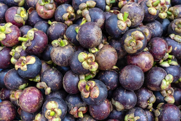 Viele mangosteen zu verkaufen auf den märkten in thailand — Stockfoto