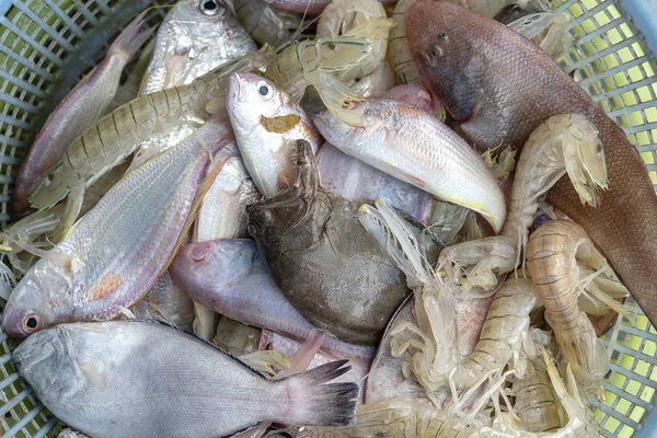 Gamberetti freschi di mare e pesce al mercato di strada in Thailandia. Concetto di frutti di mare . — Foto Stock