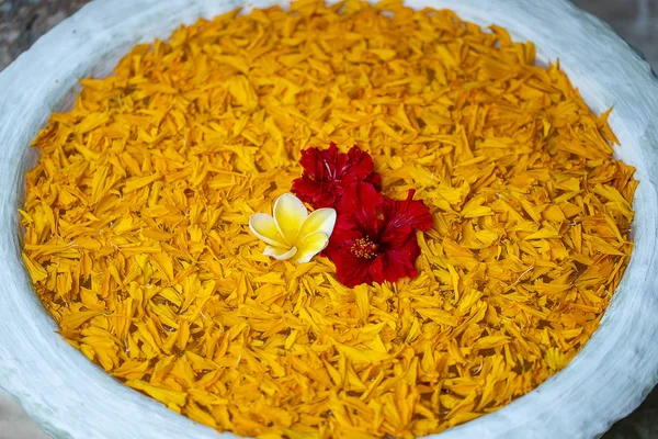 Jarrón está lleno de agua y decorado con hojas de color naranja y hermosas flores rojas en el jardín tropical. Isla Bali, Indonesia. De cerca. —  Fotos de Stock