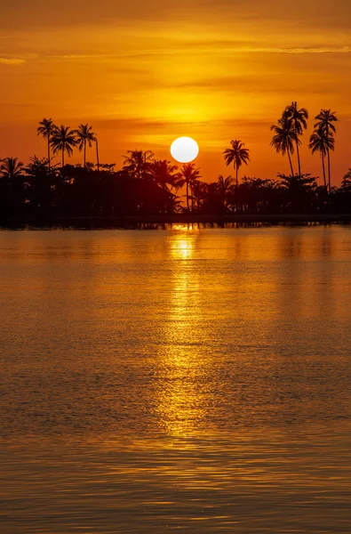 タイの島の海水の隣の日没時のココナッツヤシの木のシルエット。自然と旅行のコンセプト。太陽、赤い空、ヤシの木、海水 — ストック写真