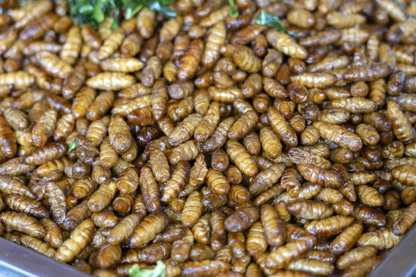 Gusanos de seda fritos deliciosos en comida callejera en Tailandia. De cerca. —  Fotos de Stock