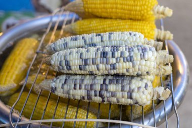 Tayland sokak gıda pazarında Satılık beyaz ve sarı Mısır haşlanmış, çekim
